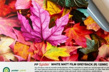 ¡Súmate a lo ecológico con el nuevo PP Spider White Matt Film Greyback!