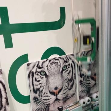 Great success of P&P on Graphispag Digital