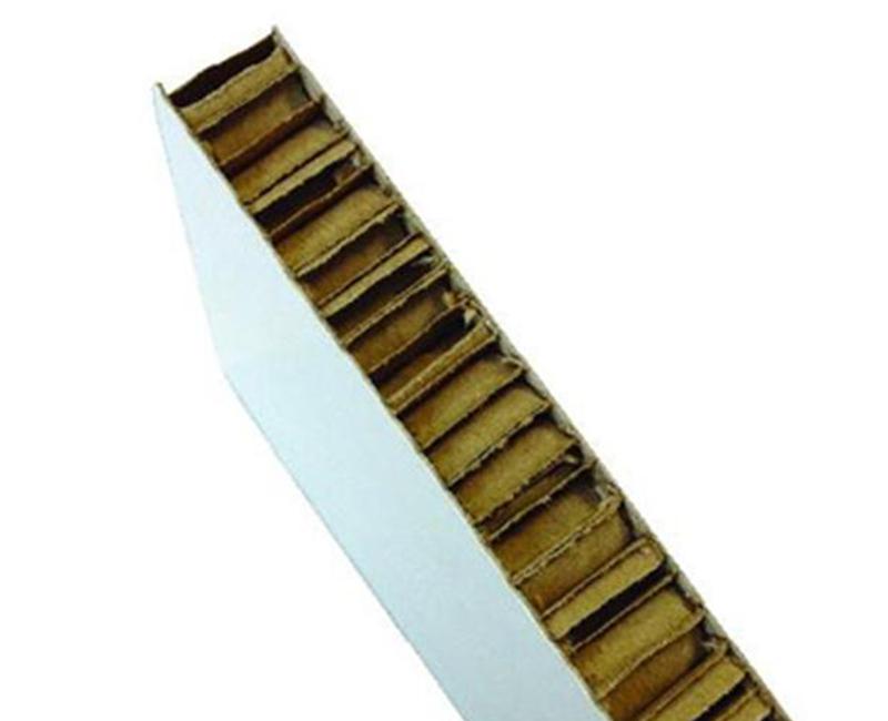 030825-6026759.jpg